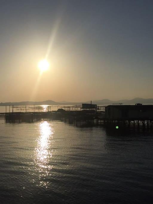 Appartement Plage, Parking Gratuit Et Terrasse Privee. *
