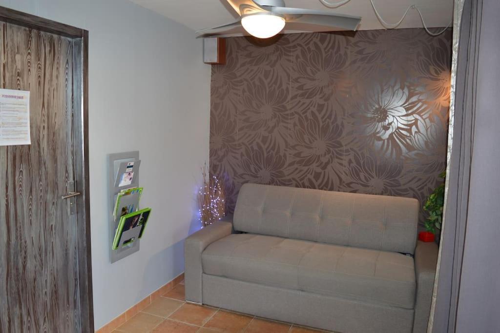 Plage, Parking Gratuit Et Terrasse Privee.